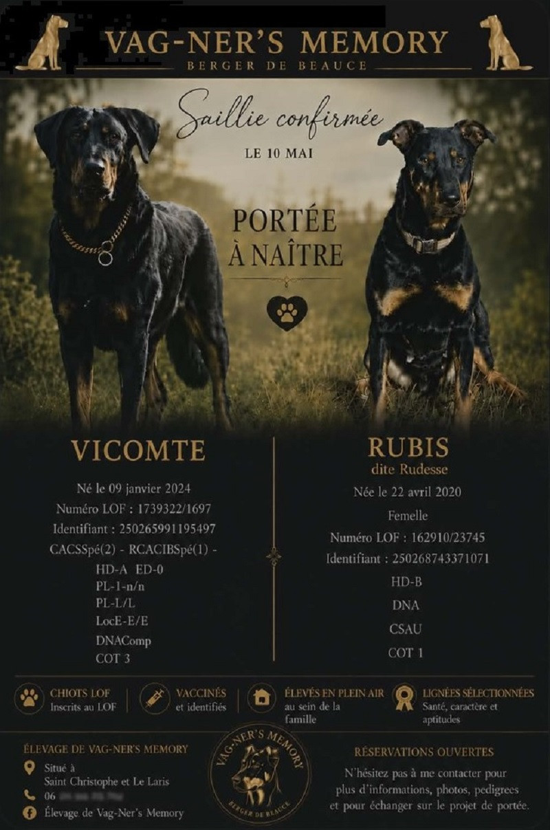 saillie Rudess X Vicomte le 10 mai 2026